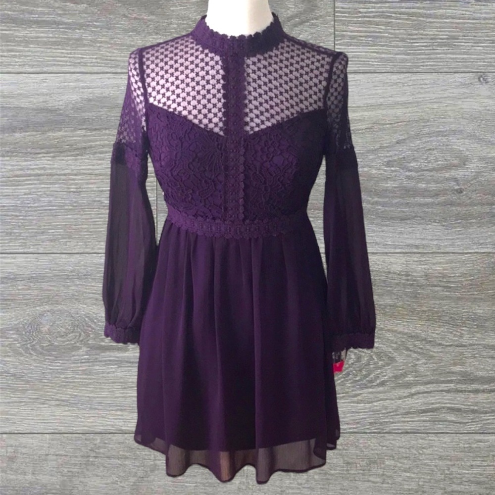 NWT Purple Lace Mesh Dress
